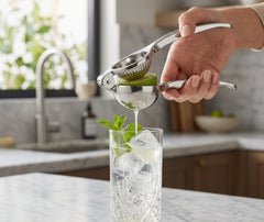 Presse Citron Manuel Inox Élégant