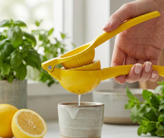 Presse Citron Manuel Jaune