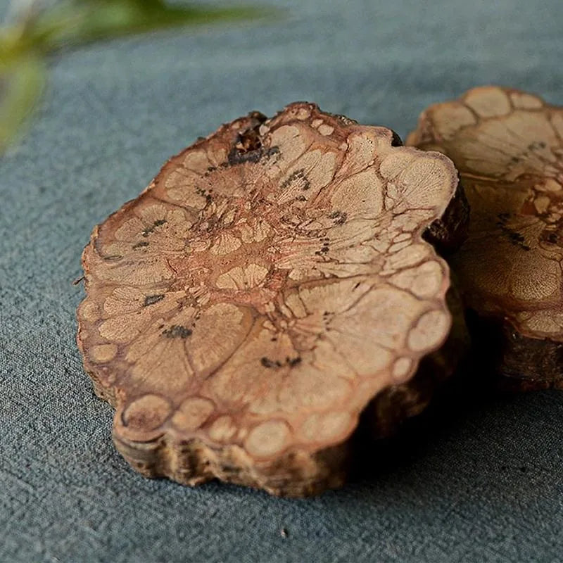 Gros plan sur deux dessous de verre en tranche de bûche laissant apparaître les cernes naturels du bois.