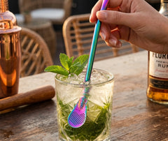 Paille Mojito Métal Coloré