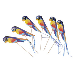 Quatre pics à cocktail perroquet tropical multicolores disposés en éventail sur fond blanc