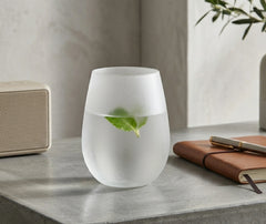 Verre à Cocktail Incassable