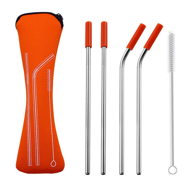 4 Pailles en Metal Transportables