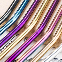 6 Pailles en Metal Courbees