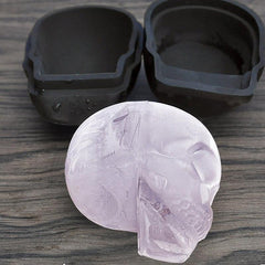 Moule a Glacon Gros Crane 